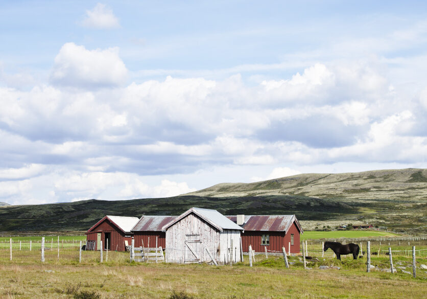 Old summer pasture farm  with black horse in  Eiunndal,, Folldal, Norway.