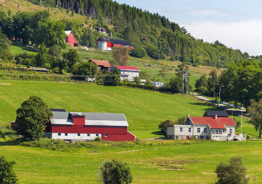 Typical scandinavian landscape with meadows and village. Houses with red walls and roofs. Norway.